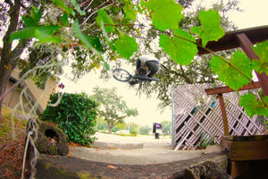 Black Friday, TJ, Funny, Free, tattoo, Chad DeGroot bike check, SPOT, Tom V tuck, shocka