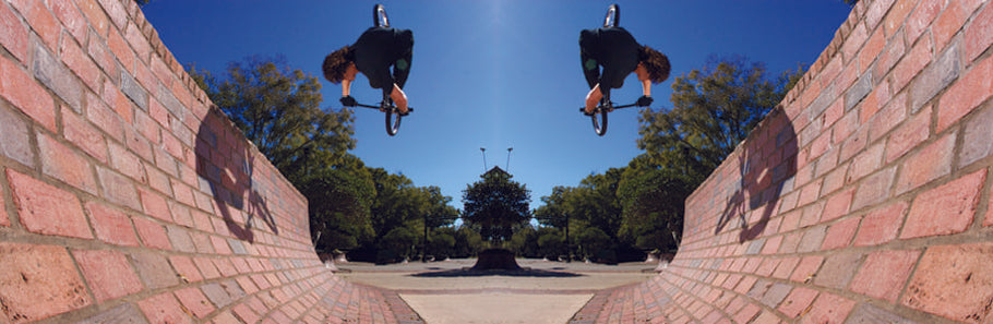 New pics and Springer