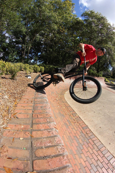 Maitland Trannies early sesh