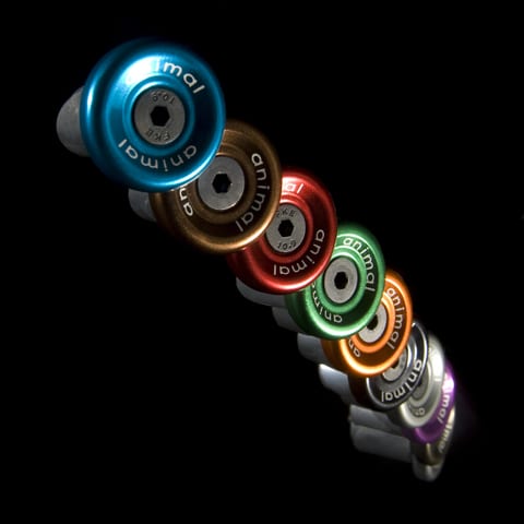 Animal Order is here