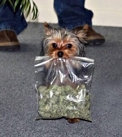 Sorry, will be gone for awhile